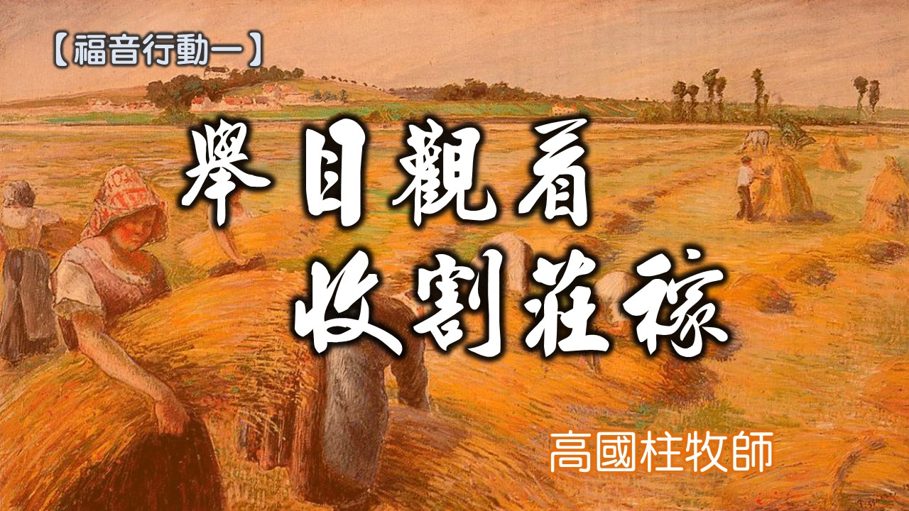 Read more about the article 20180805高雄基督之家主日信息-福音行動一-舉目觀看收割莊稼