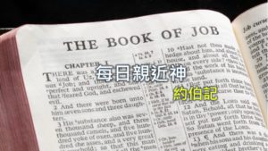 每日親近神 2019/07/15 約伯記 第6天