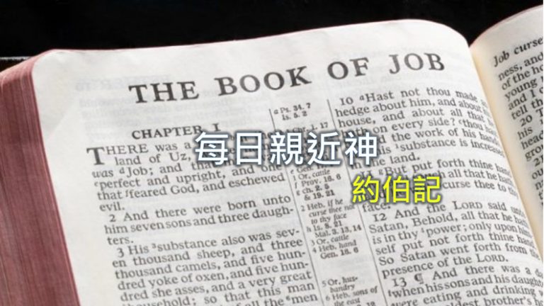 Read more about the article 每日親近神 2019/07/22 約伯記 第13天