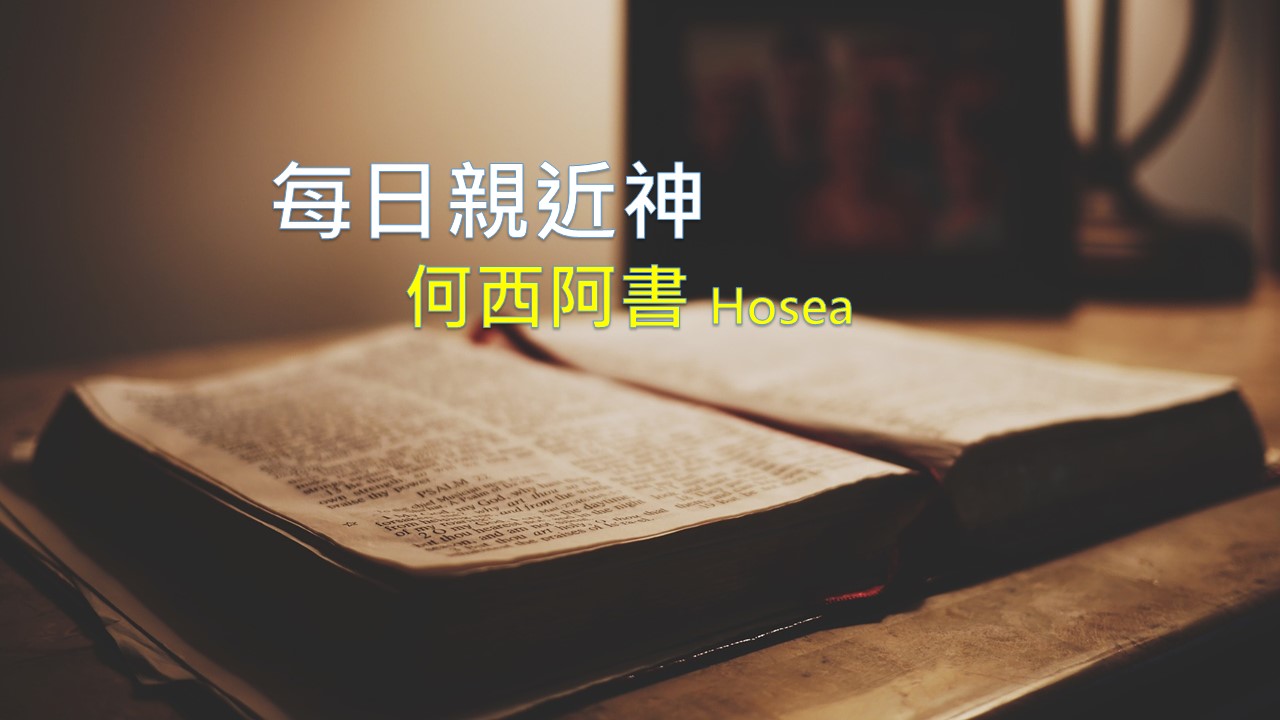You are currently viewing 每日親近神 2021/01/23 何西阿書 第2天