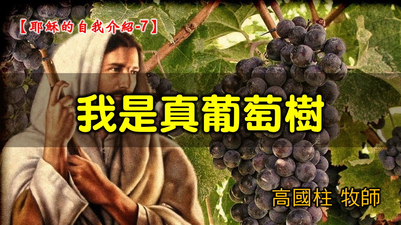 You are currently viewing 2021/09/12高雄基督之家主日崇拜-耶穌的自我介紹 (7)我是真葡萄樹