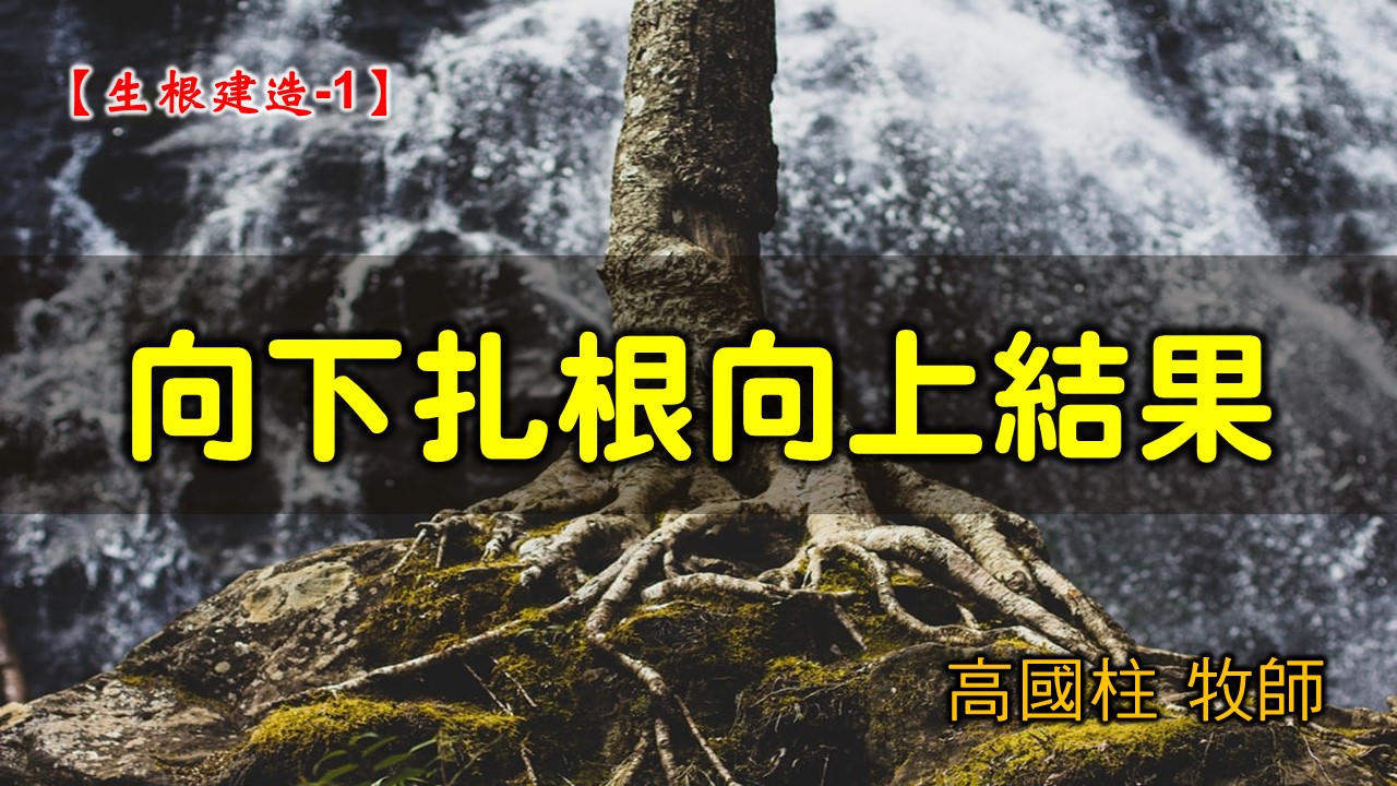 You are currently viewing 2021/09/19高雄基督之家主日崇拜-生根建造(一)向下扎根向上結果