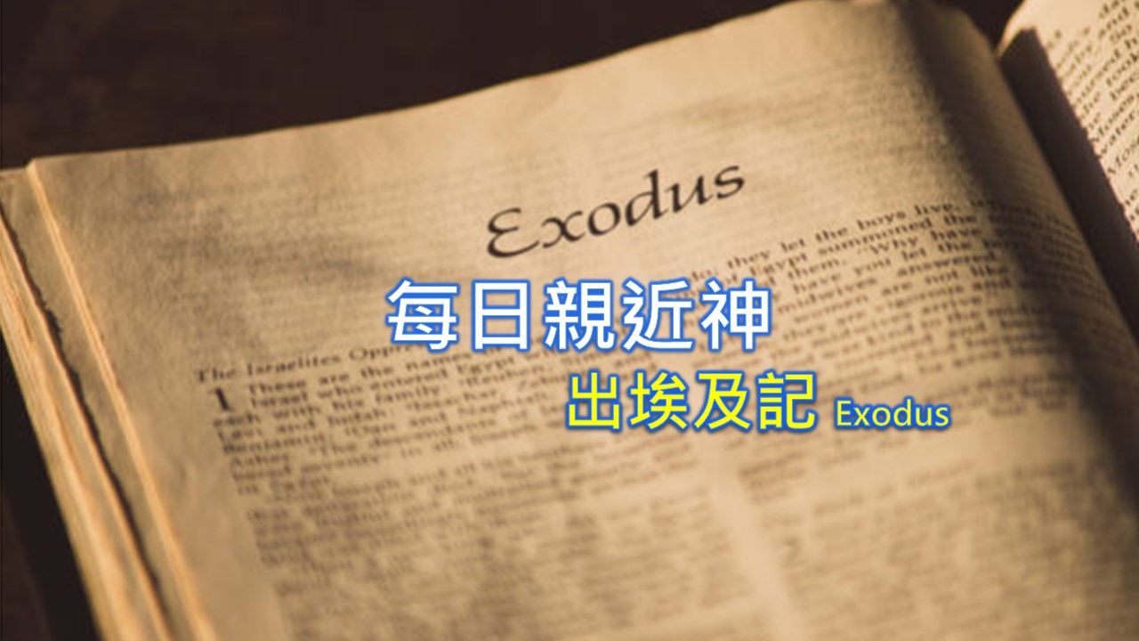 Read more about the article 每日親近神 2023/08/06 出埃及記 第70天