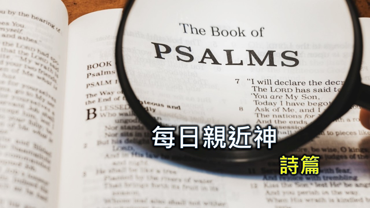 You are currently viewing 每日親近神 2025/04/19 詩篇 第89天