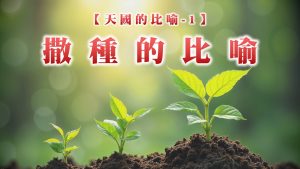 Read more about the article 【天國的比喻1】撒種的比喻|20260301|高雄基督之家主日崇拜