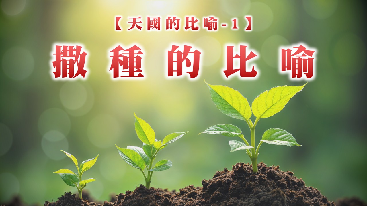 Read more about the article 【天國的比喻1】撒種的比喻|20260301|高雄基督之家主日崇拜